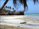 Beach, Tavewa, Fiji